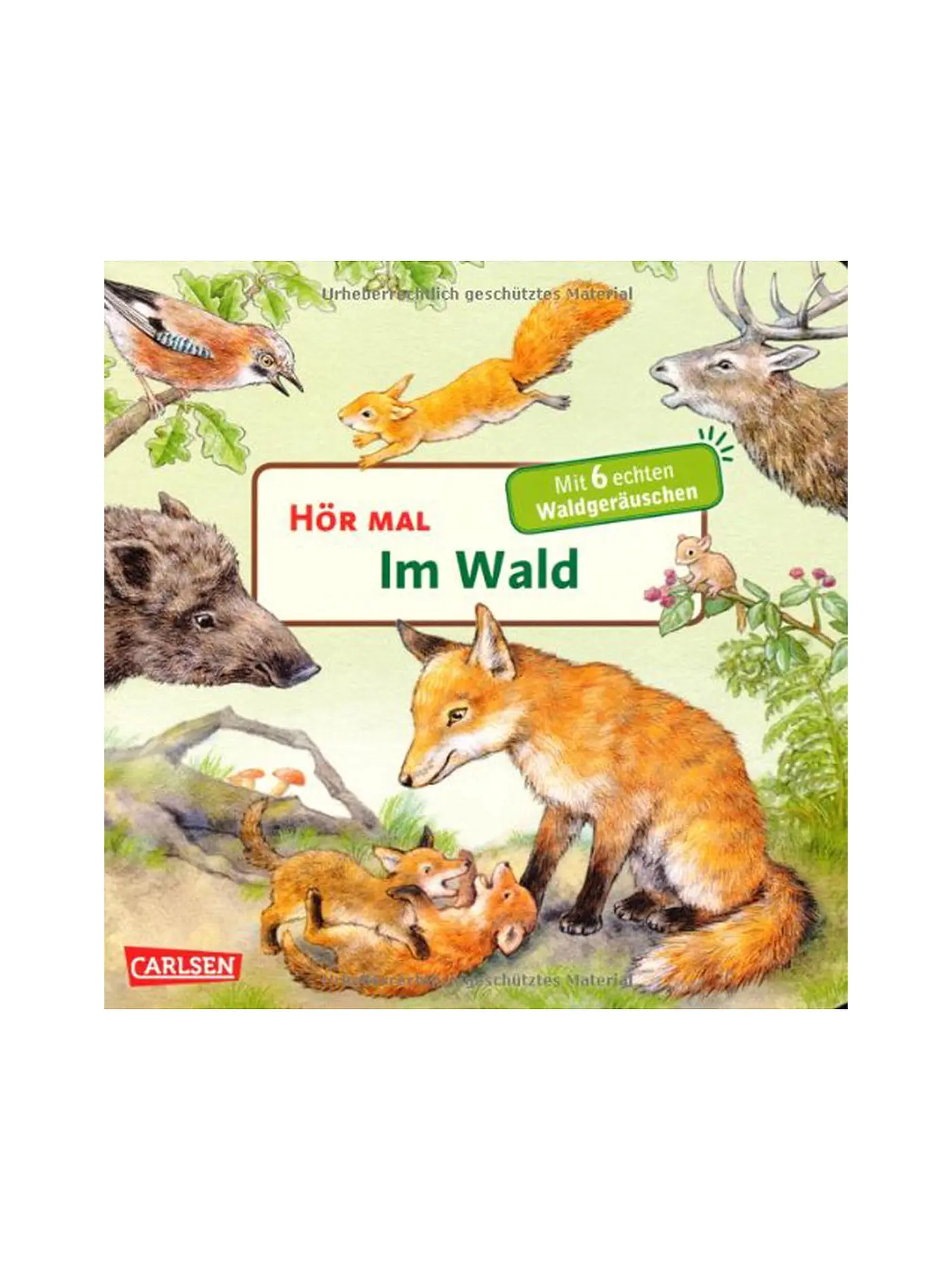 CARLSEN VERLAG | Buch - Hör mal im Wald | 
